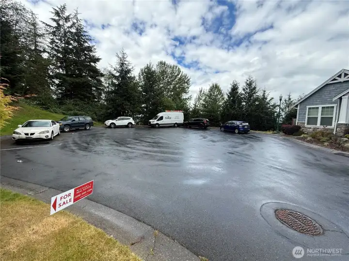 tons of on street parking by greenbelt in addition to attached 3 car garage
