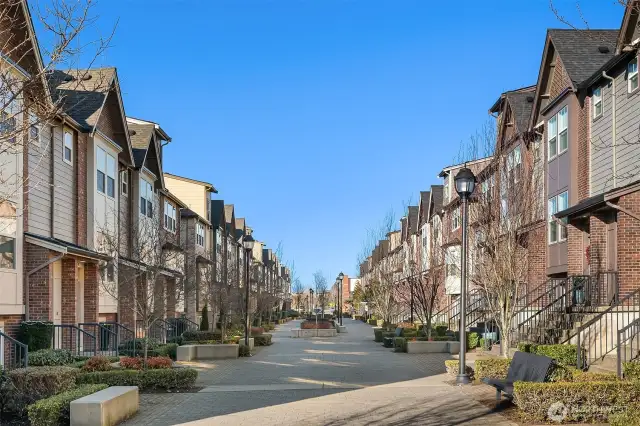 Views of the surrounding charming Brooklyn Walk brownstones.