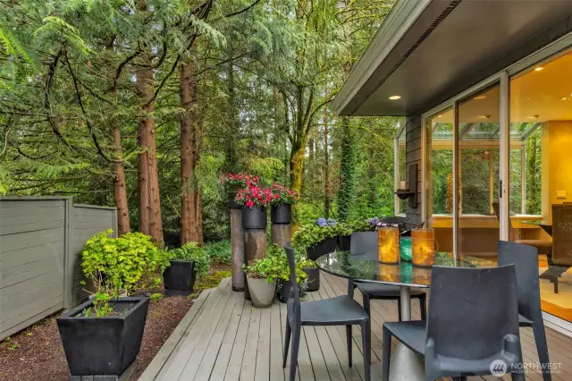 Stepping out to large deck with plenty of space for dining, grilling and relaxing