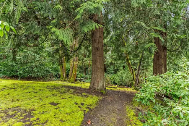 Just steps away from the deck is a rustic path into the deep, wooded neighborhood open space
