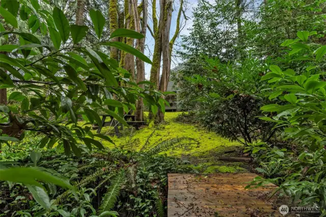 Follow the path to a bridge over a small creek that winds thru the greenbelt. A nearby picnic table offers a quiet lunch spot