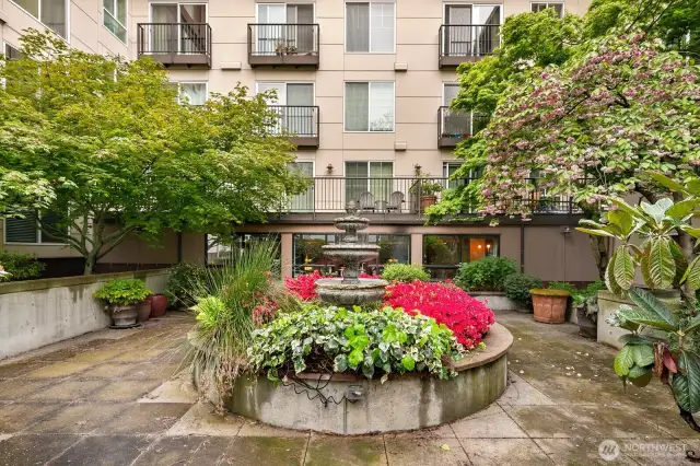 Center garden area
