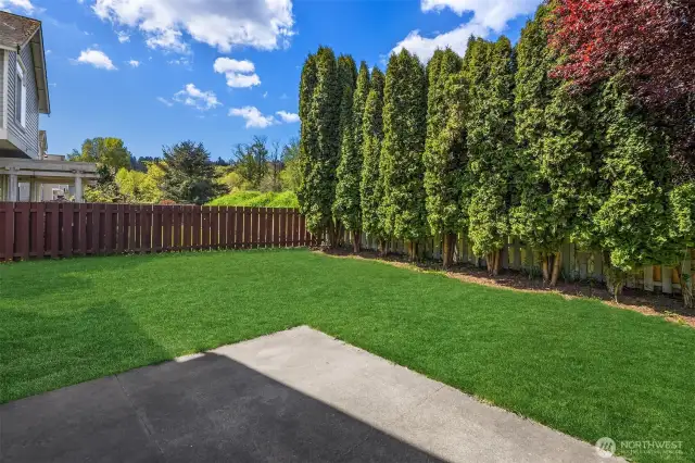 Private Back Yard