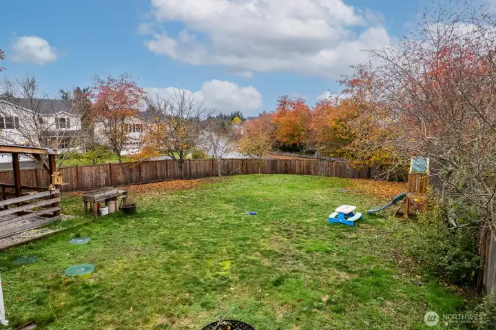 Rear yard with fruit trees