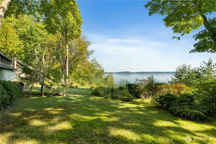 well kept backyard with old growth trees, lawn, fruit trees and sprinkler system