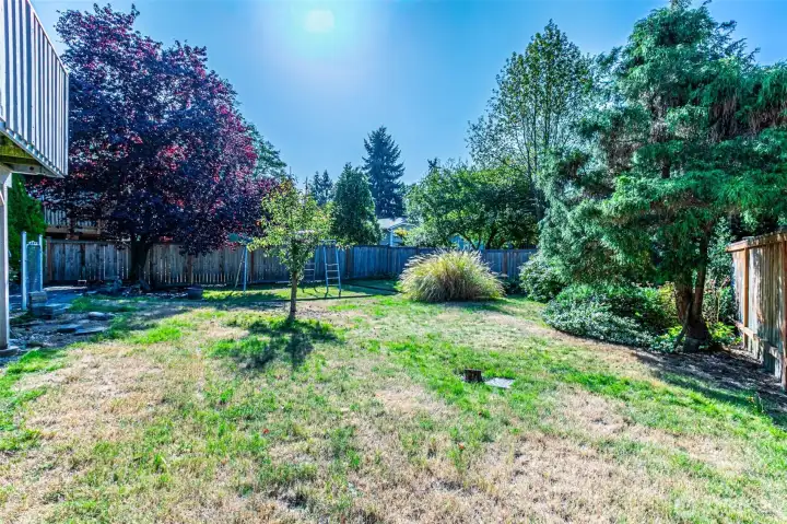 Fully Fenced Backyard