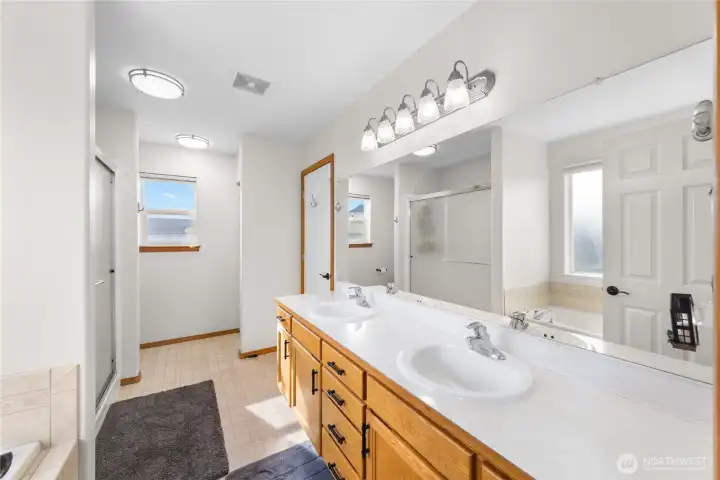Ensuite off of primary bedroom has double vanity and large walk-in closet.