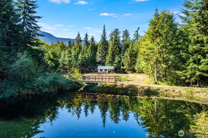 Tucked away in the evergreens, this little cabin rests quietly on the edge of a sparkling pond