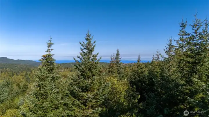 Looking towards straight of Juan de Fuca from build site area