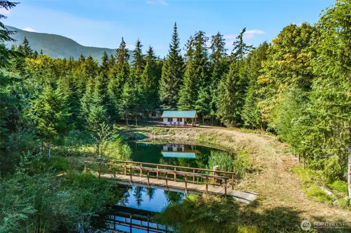 Tucked away in the evergreens, this little cabin rests quietly on the edge of a sparkling pond