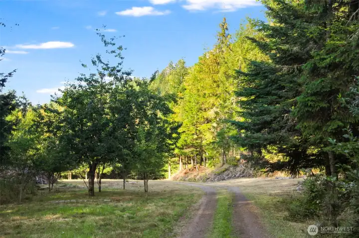 Entrance with fruit trees on left and amphitheater on right