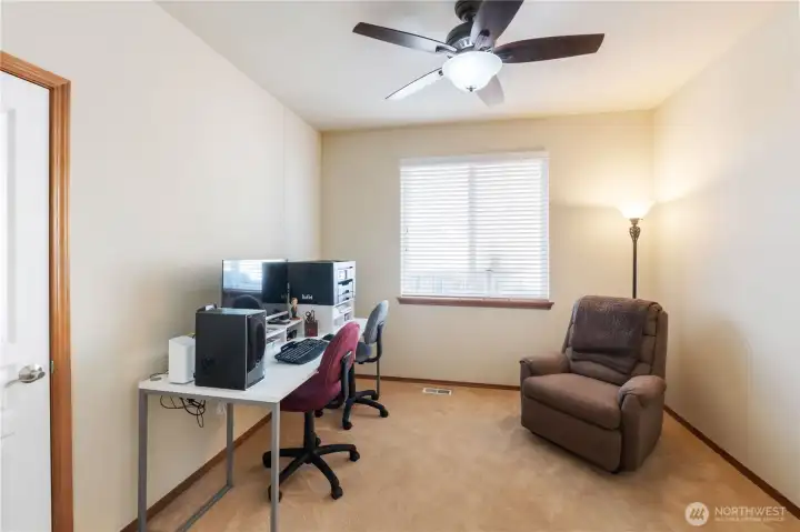 The third bedroom offers a walk-in closet and another decorative ceiling fan light