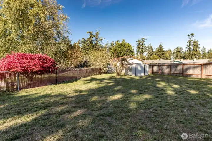 Large fenced backyard with shed and room for Accessory Dwelling Unit.