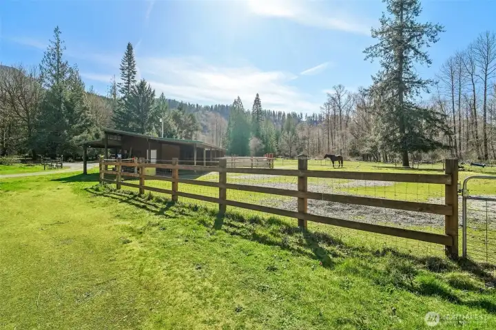 Fenced pasture with open grazing space