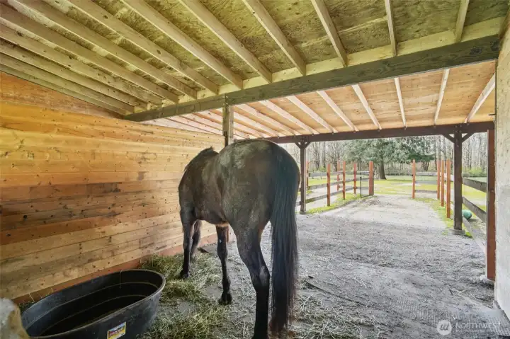 Comfortable stall setup supporting everyday horse care