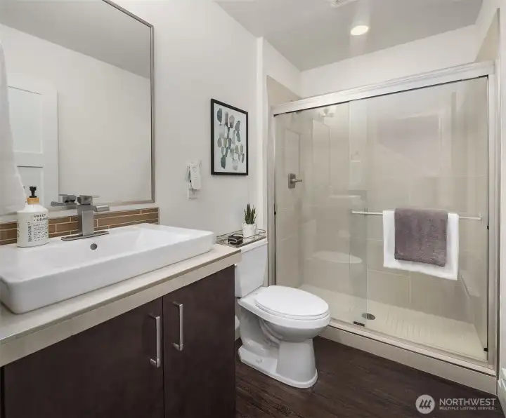 Lower level bathroom.