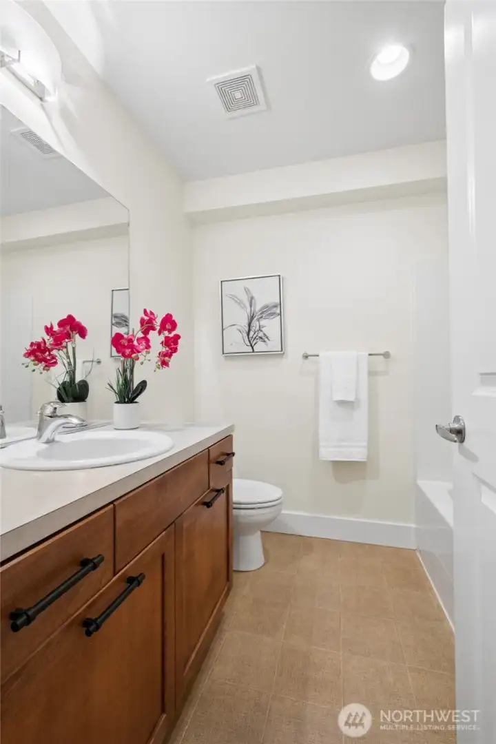Full bathroom, lower level.