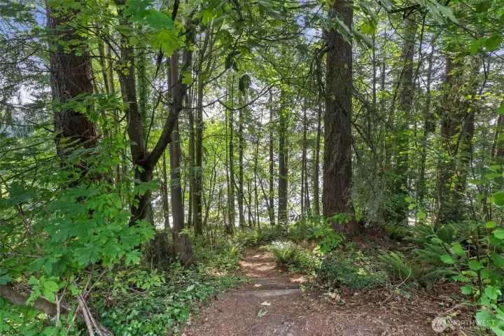 Natural trail to lake