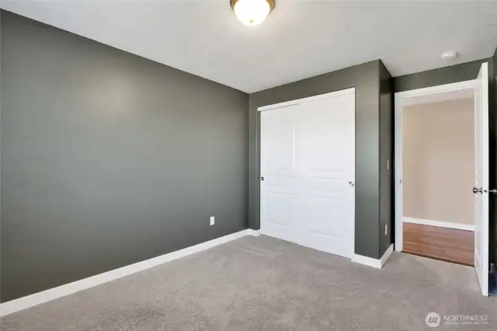 Bright bedroom with cozy carpet flooring.