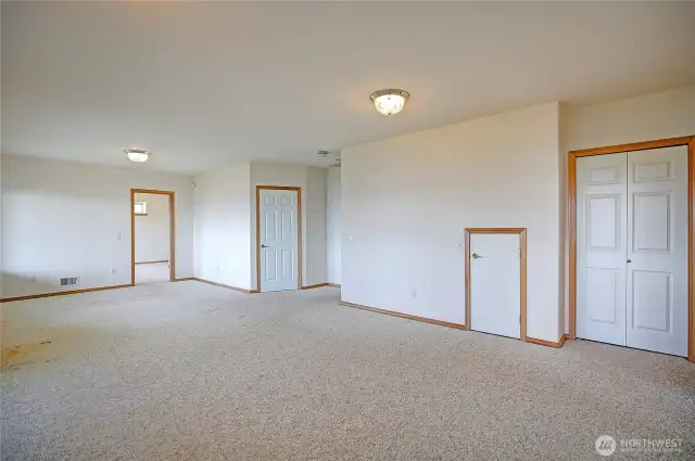 Great room with large storage closet and small door is secret hidden room