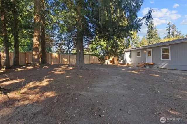 spacious backyard for your imagination!
