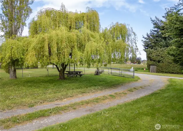 nice yard for flowers or animals