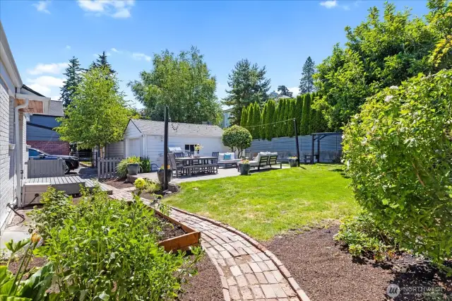 Backyard