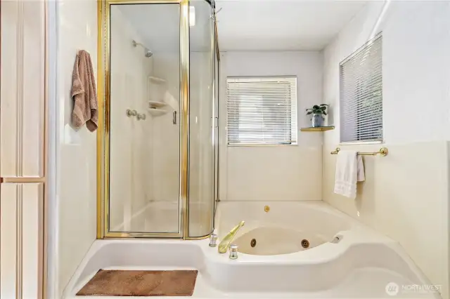 Jacuzzi tub with shower.