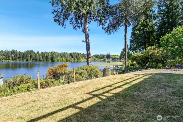 Nice yard!