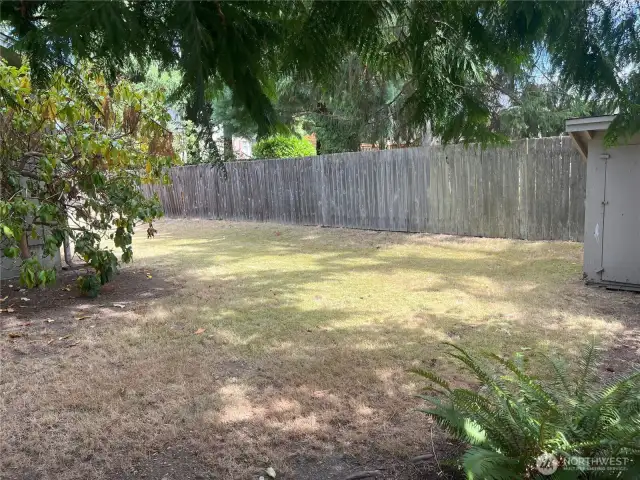 Side yard