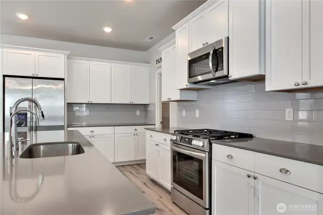 Kitchen with large walk-in pantry.  All appliances included. Dedicated filtered water spout on the kitchen sink.