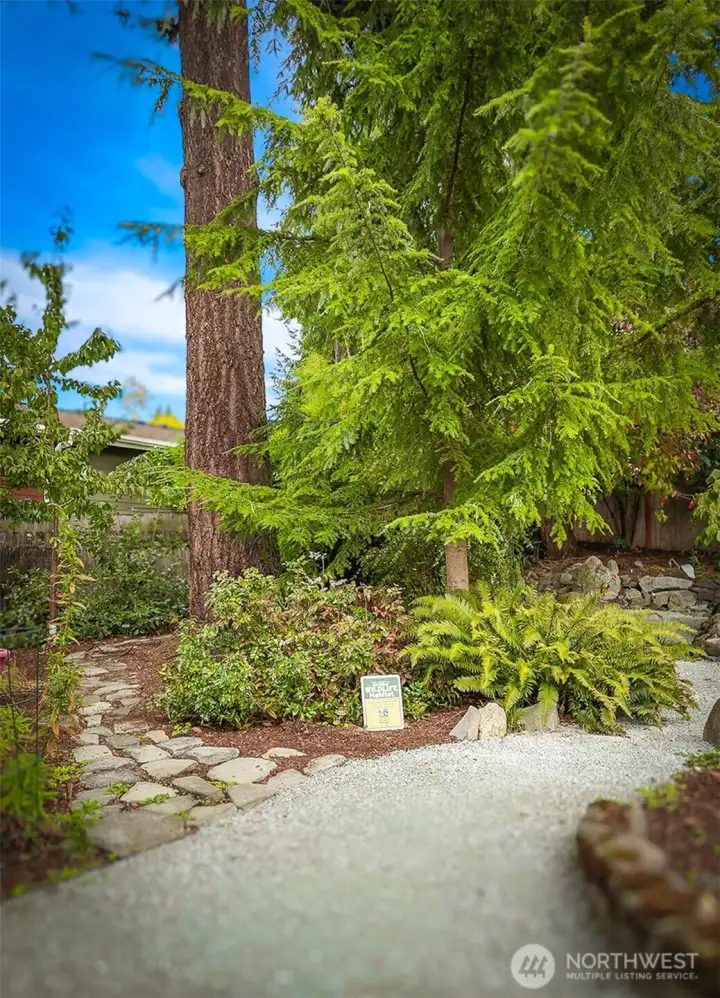 The incredible back yard with its meandering paths and specimen trees is certified as a Wildlife Habitat from the the National Wildlife Federation.