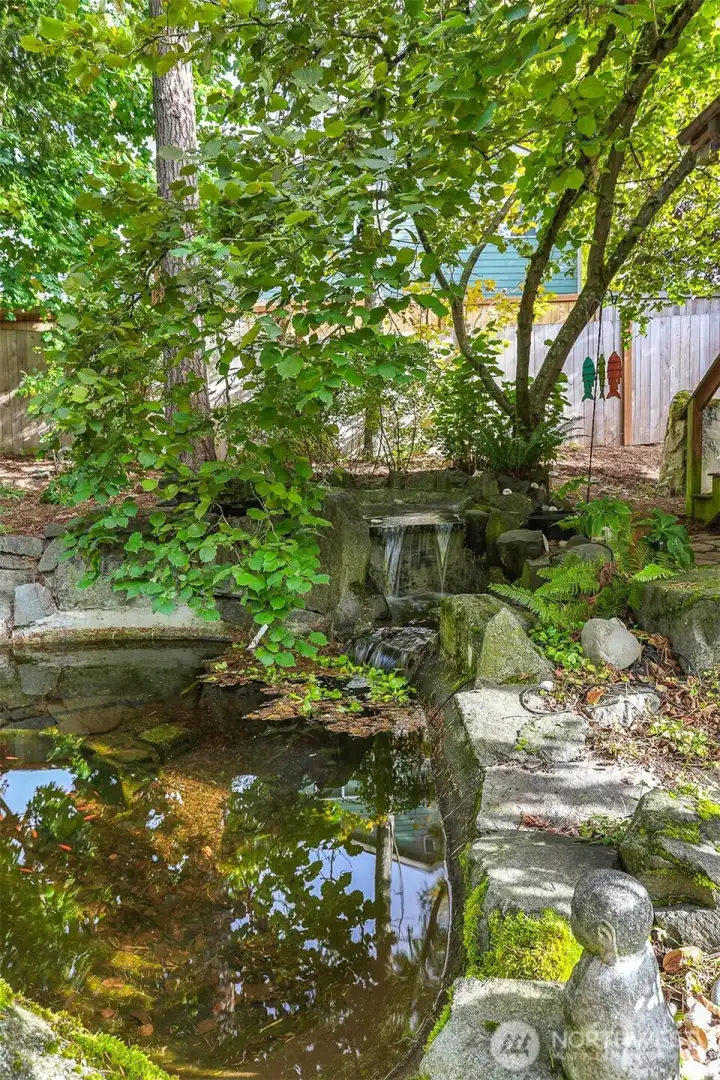 Tranquil Koi Pond with waterfall.