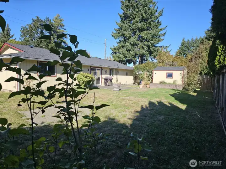 Another view of the backyard from a different corner.