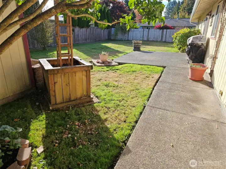 Looking from the driveway gate.