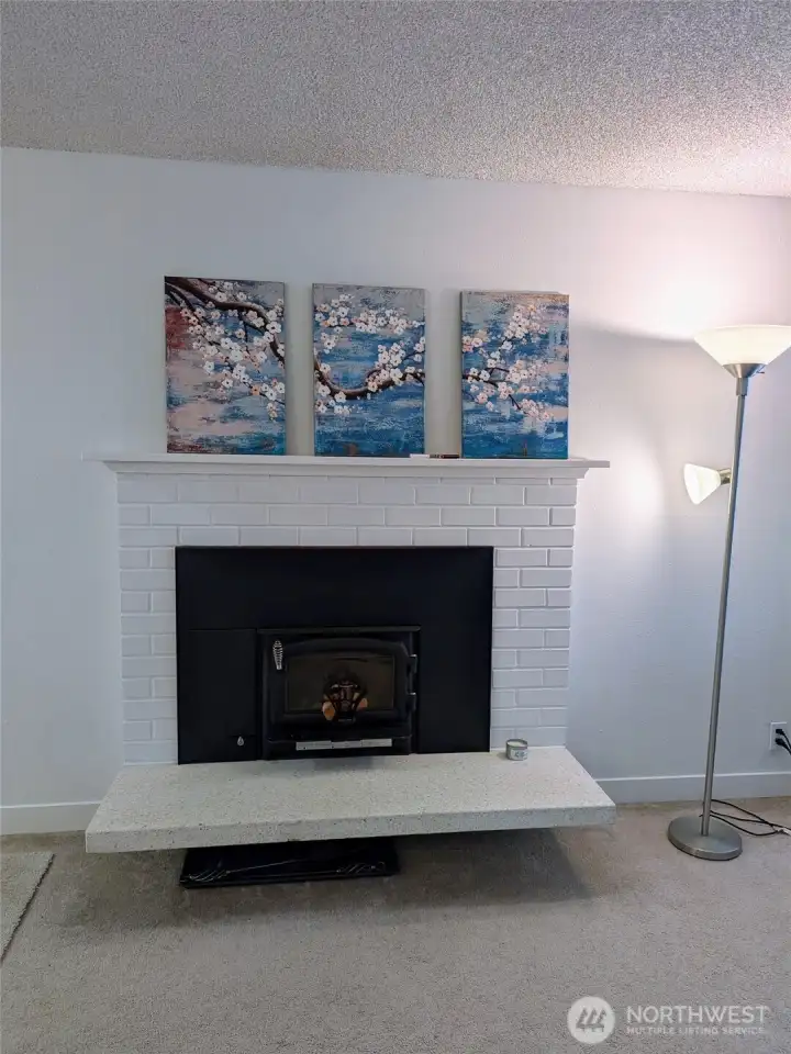 Wood burning fireplace stove on the main floor, very efficient