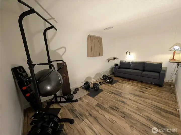 Lower-level flex bonus room