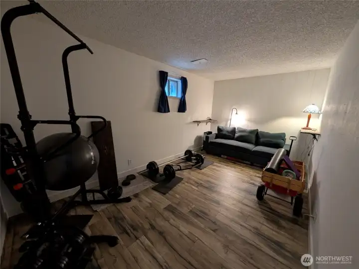 Flex bonus room on the lower level