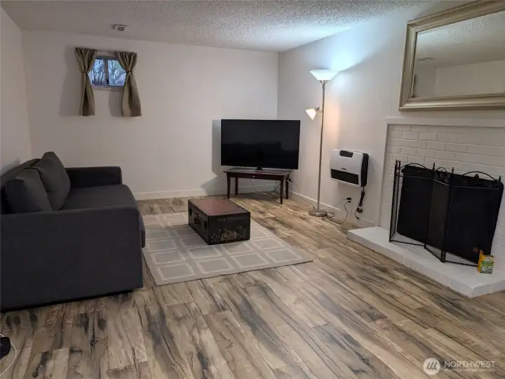 Family/living room area on lower level w/ wood fireplace