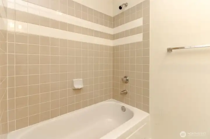 Main Bathroom View #2