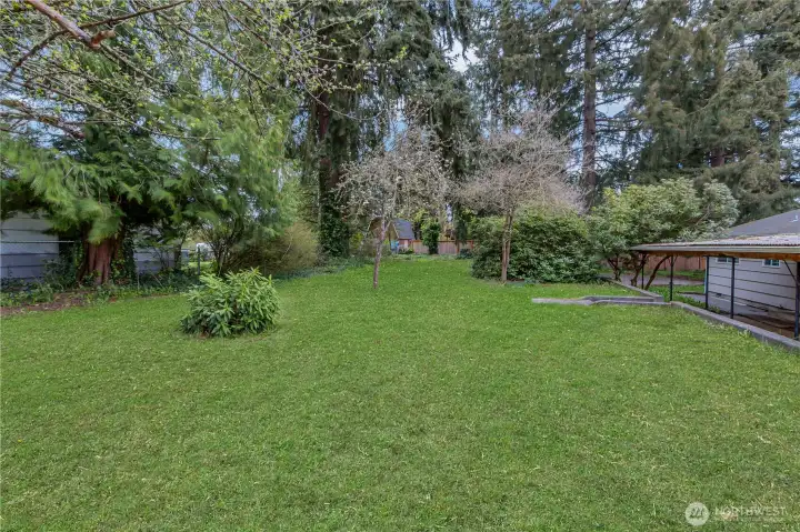1/2 Acre Lot