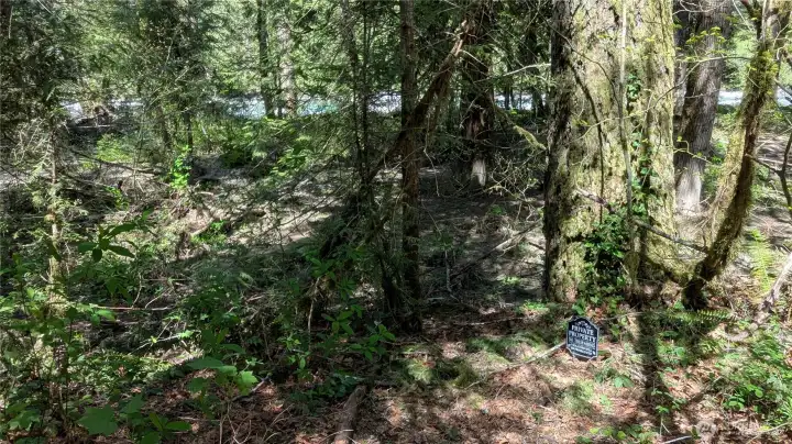 Path to river
