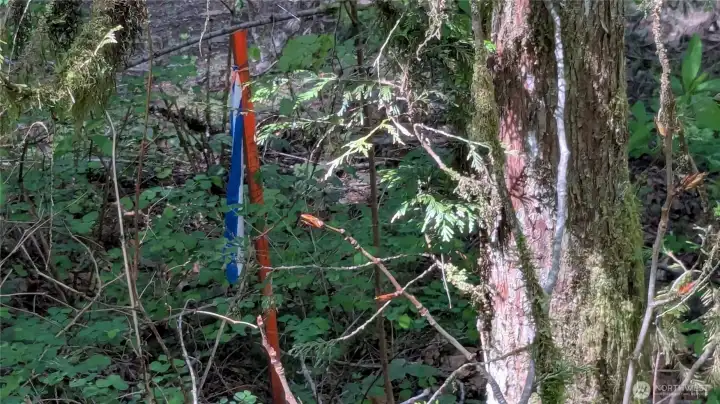 SE Line marker