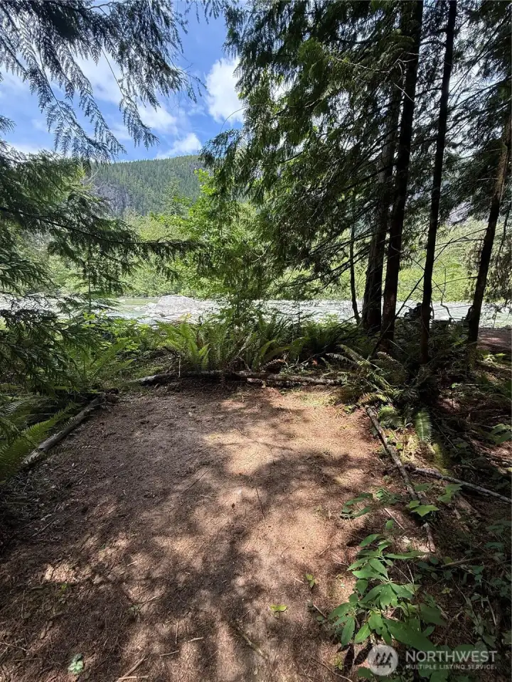 Potential tent site