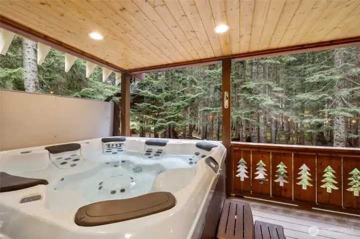 Bullfrog Hot Tub
