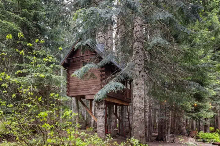 Tree House