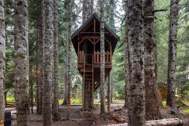 Tree House