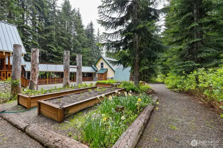 Garden area