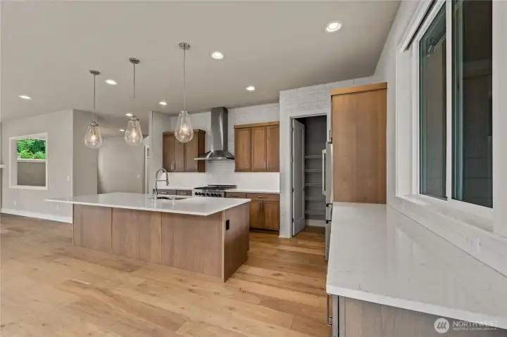 Modern Kitchen