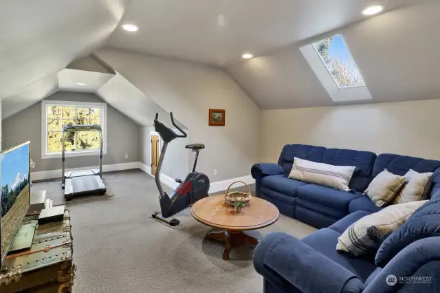 The bonus room offers a skylight and additional storage.